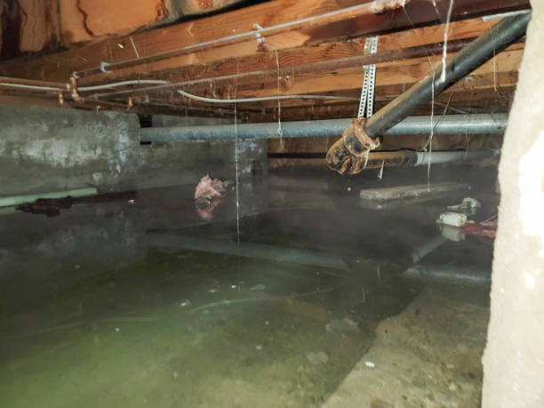 Best Emergency water damage restoration  in Cotati, CA