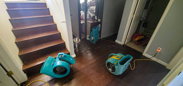 Best Water damage cleanup near me  in Cotati, CA