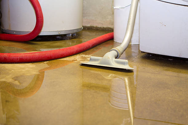  Cotati, CA Water damage restoration Pros
