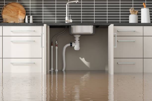 Best Flooded house restoration  in Cotati, CA