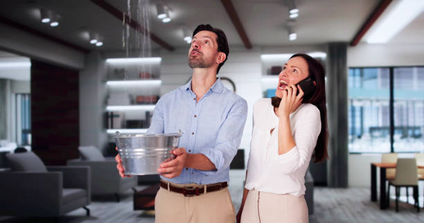 Best Professional water damage repair  in Cotati, CA