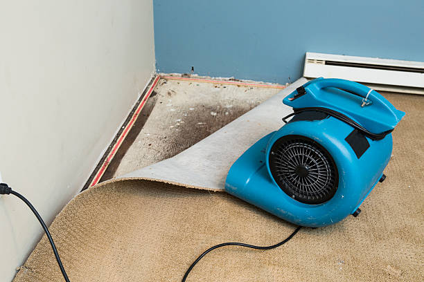 Best Water damage restoration near me  in Cotati, CA